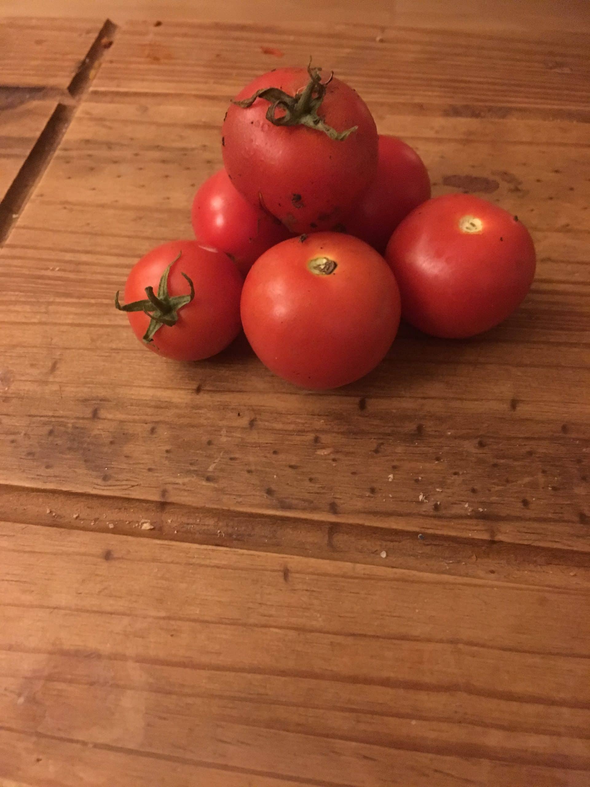 Why we love growing businesses as much as tomatoes